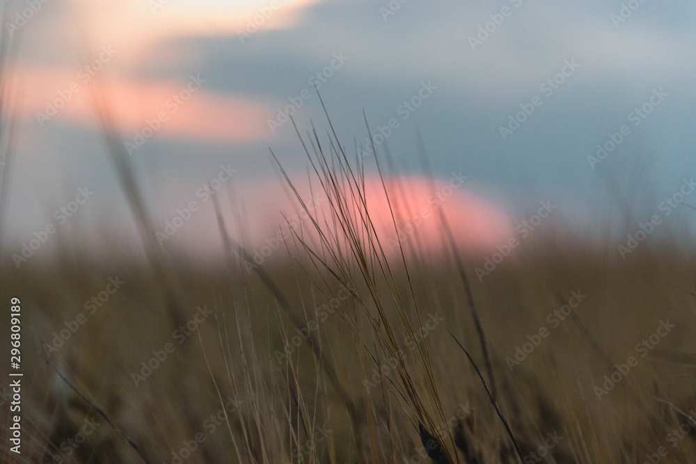Obraz premium travel, landscape and nature of Russia. Yellow golden orange dramatic dawn at dawn or dusk over endless fields, hills, meadows. The sun rises in the morning above the horizon