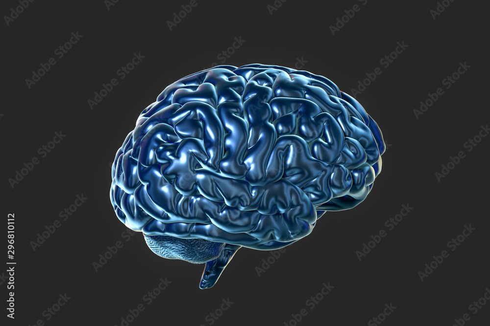 Brain and dark background, 3d rendering.
