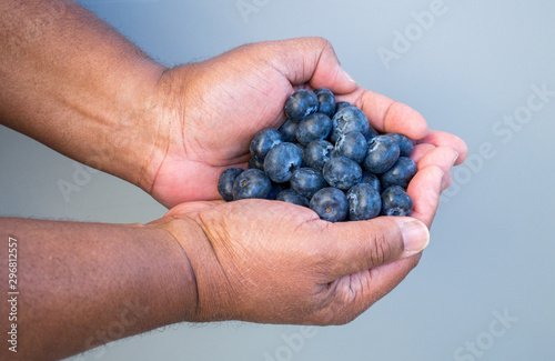 ripe fresh blueberries in the cupped hands of an African American man against a solid background