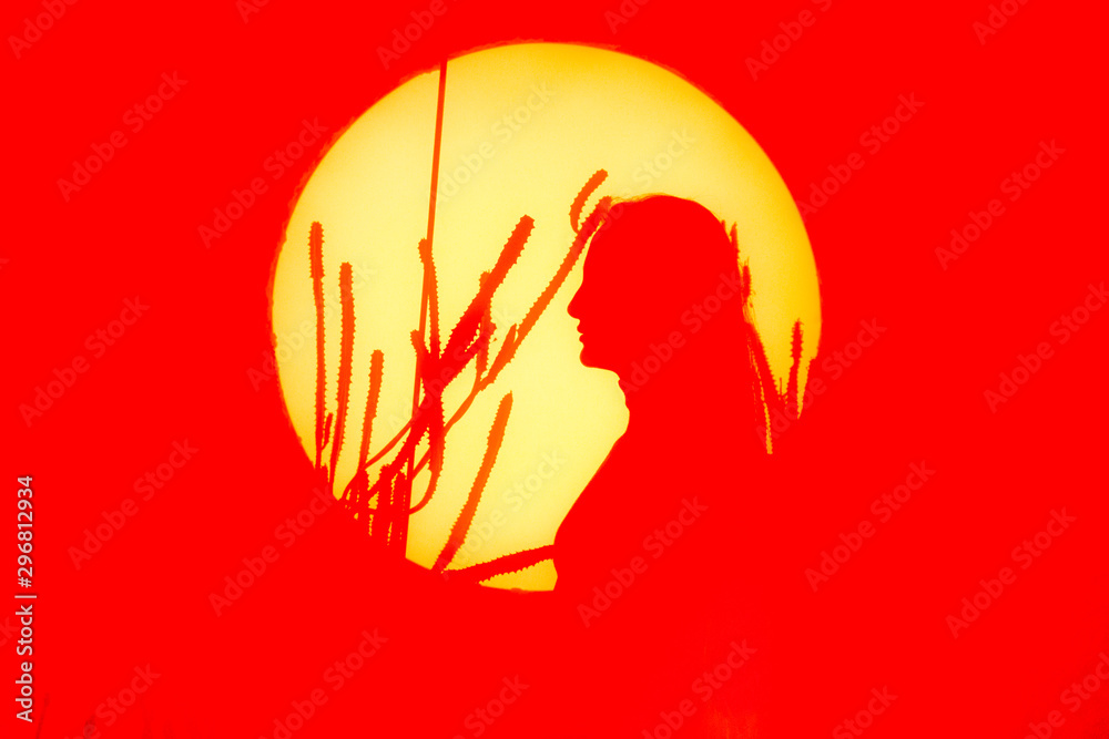 Fototapeta Dark silhouette of a girl on a background of orange sunset sun and cacti.