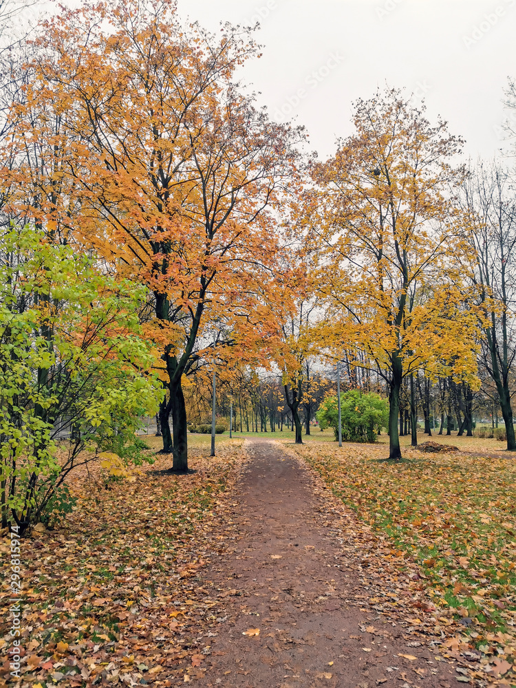 path in autumn park