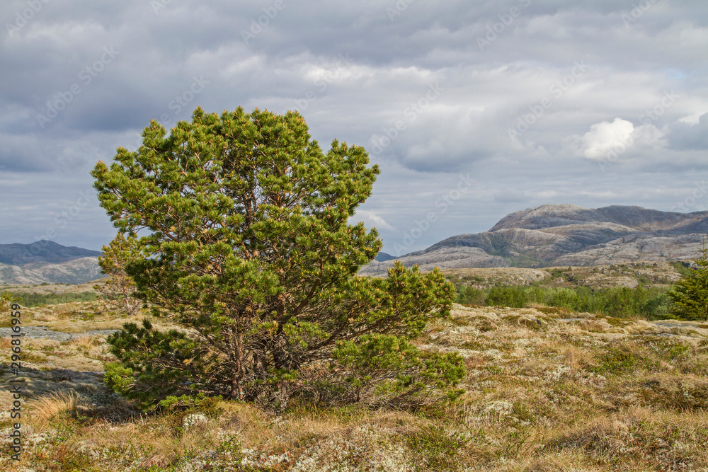 Fjelllandschaft auf Indre-Vikna Fjelllandschaft auf Indre-Vikna