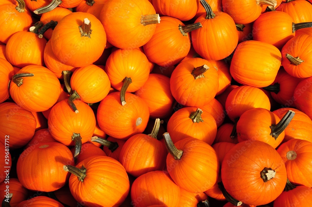 Pumpkins 