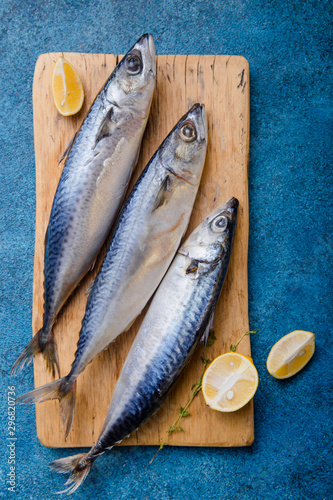 Atlantic bonito Sarda or Palamida that is large mackerel-like fish photo