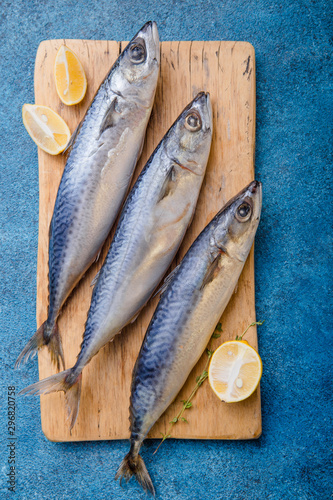 Atlantic bonito Sarda or Palamida that is large mackerel-like fish. photo