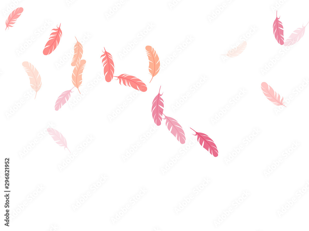 Falling feather elements soft vector design. Falling feather elements soft vector design.