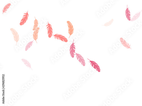 Falling feather elements soft vector design.