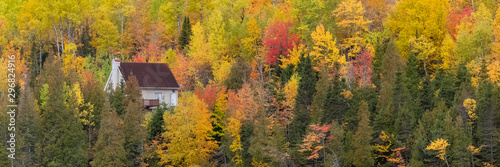 House in the forest on the lake in Canada, in autumn, beautiful colors of the trees 