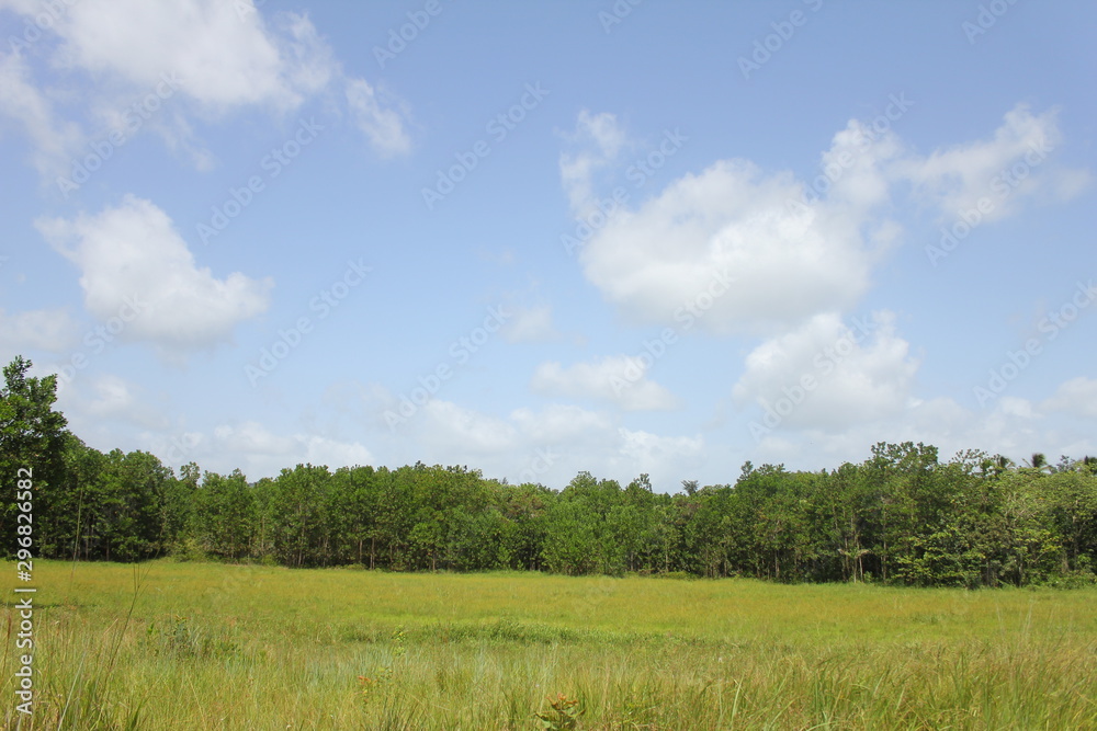  Beautiful meadow in Bayaguana, Dominican Republic