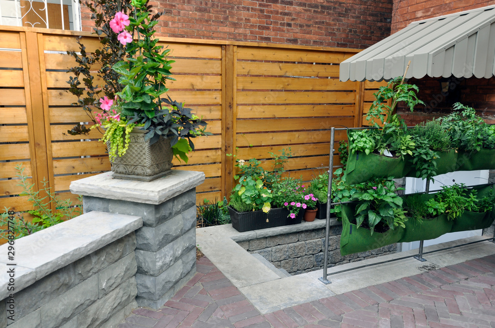 An elegant urban backyard garden with extensive landscaping includes a herringbone pattern brick walkway, basement apartment walkout, living wall with herbs, and a seat wall with natural stone coping.