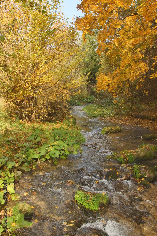 jesień jura dolina Racławki jesień jura dolina Racławki