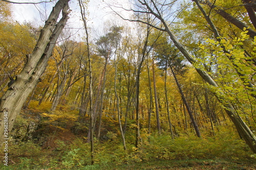 jesień jura dolina Racławki