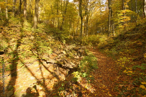 jesień jura dolina racławki © Napoleon. C