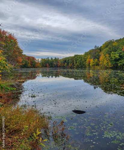 Greenville Pond, Leicester MA