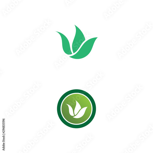 Tree leaf vector design eco friendly concept logo