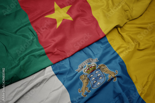 waving colorful flag of canary islands and national flag of cameroon.