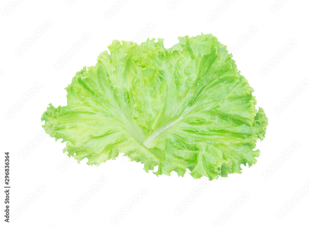 Salad leaf. Lettuce isolated on white background with clipping path. Salad leaf. Lettuce isolated on white background with clipping path.
