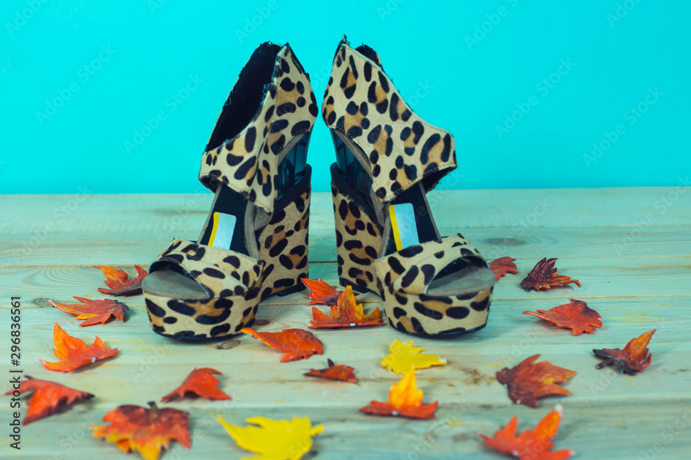 autumn leaves and women shoes