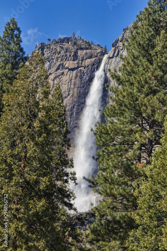 Waterfall through Pines in Yosemite