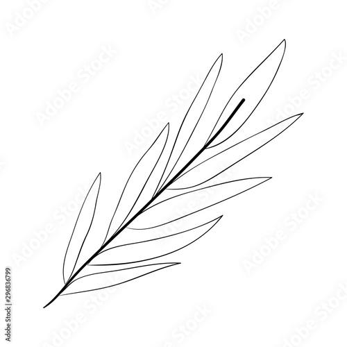 branch with leafs decorative icon