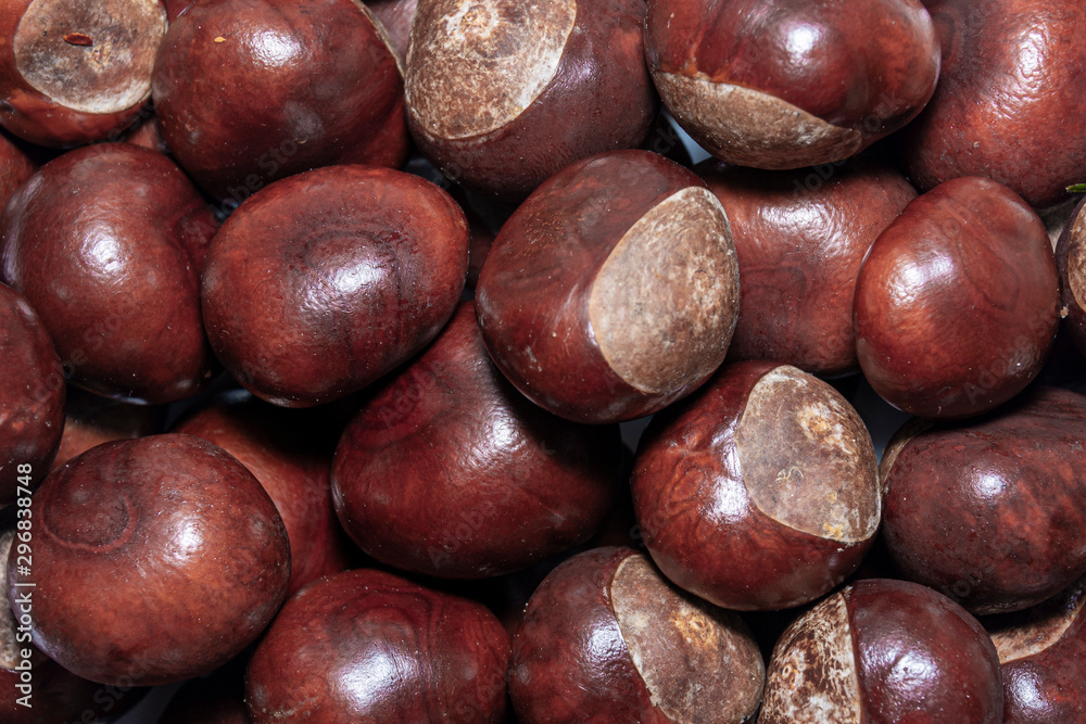 A group of chestnuts illuminated by the bright side. Dark background. Autumn, natural background.