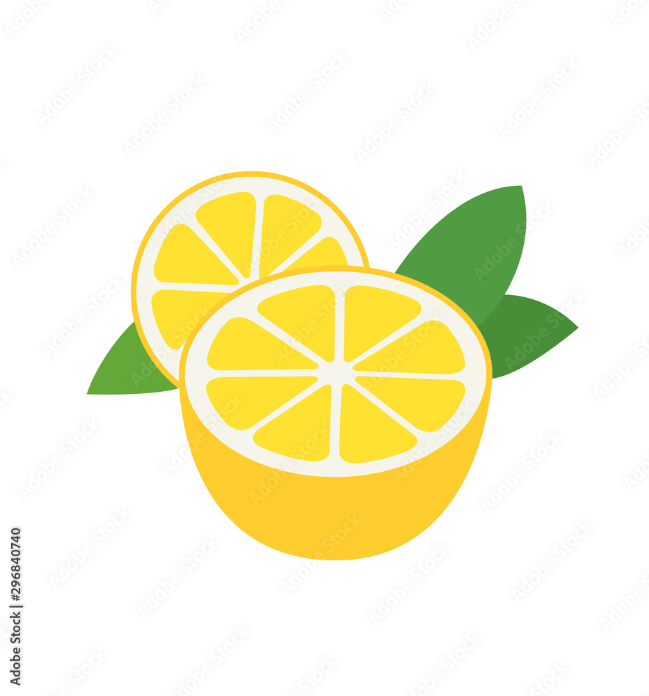 Fresh lemon fruits vector illustrations isolated on white Fresh lemon fruits vector illustrations isolated on white