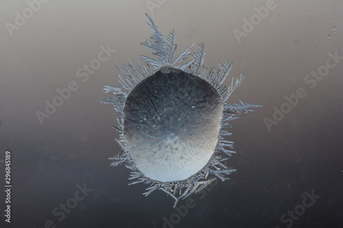 Close up view of frozen shell