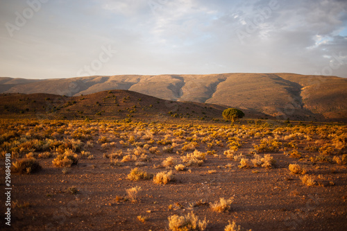 Semi arid hills and bushes, Karoo, South Africa photo