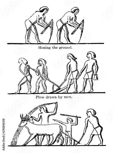 Sculptures on a Theban Tomb have early tool for opening or tilling the ground appears to have been a forked stick vintage engraving.