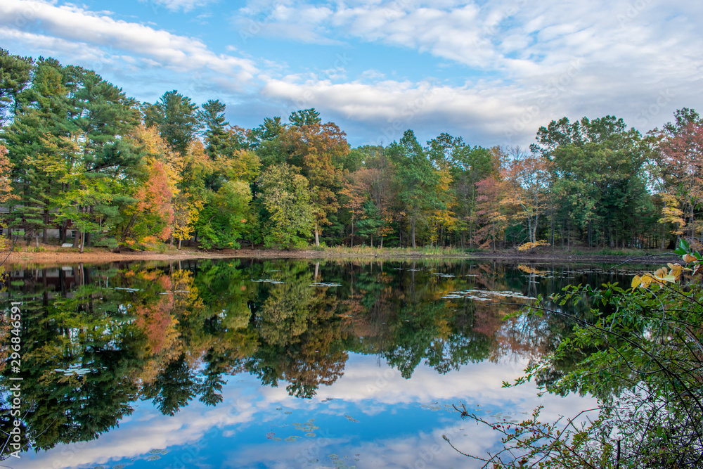 Fall on a still pond