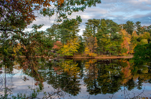 Fall on a still pond