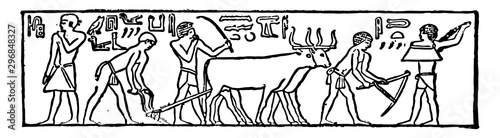Early Egyptian Pictures or Ancient Egypt pictures vintage engraving