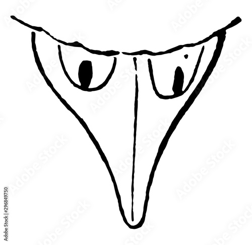 Barn Swallow Bill vintage illustration.