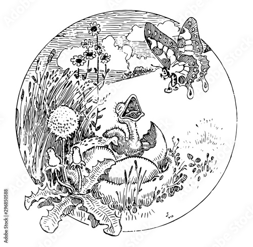 Baby Bird vintage illustration
