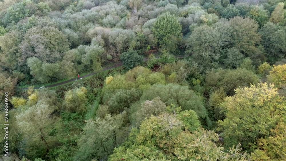 Aerial view above Autumn season countryside woodland wilderness. Overhead view above treetops. Aerial view above Autumn season countryside woodland wilderness. Overhead view above treetops.