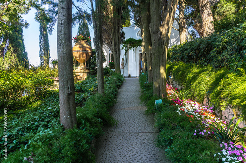 Fototapeta The gardens of Villa San Michele, Capri, Campania, Italy