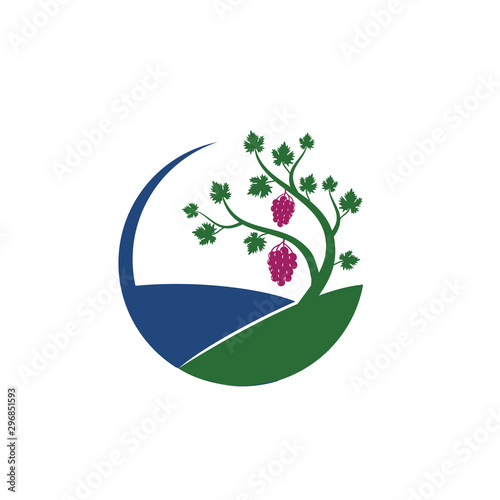 grape vine fruit plant in the hill vector logo design illustration