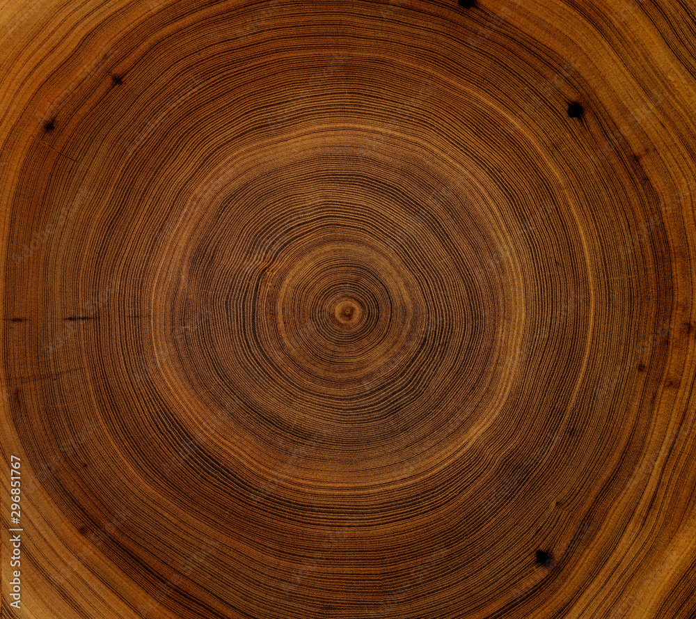 Detailed warm dark brown and orange tones of a felled tree trunk or stump. Rough organic texture of tree rings with close up of end grain. Detailed warm dark brown and orange tones of a felled tree trunk or stump. Rough organic texture of tree rings with close up of end grain.