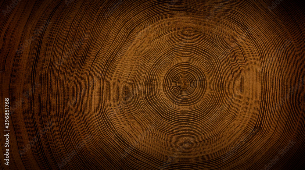 Detailed warm dark brown and orange tones of a felled tree trunk or stump. Rough organic texture of tree rings with close up of end grain. Detailed warm dark brown and orange tones of a felled tree trunk or stump. Rough organic texture of tree rings with close up of end grain.