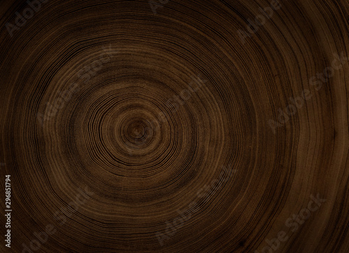 Detailed warm dark brown and orange tones of a felled tree trunk or stump. Rough organic texture of tree rings with close up of end grain. © CaptureAndCompose