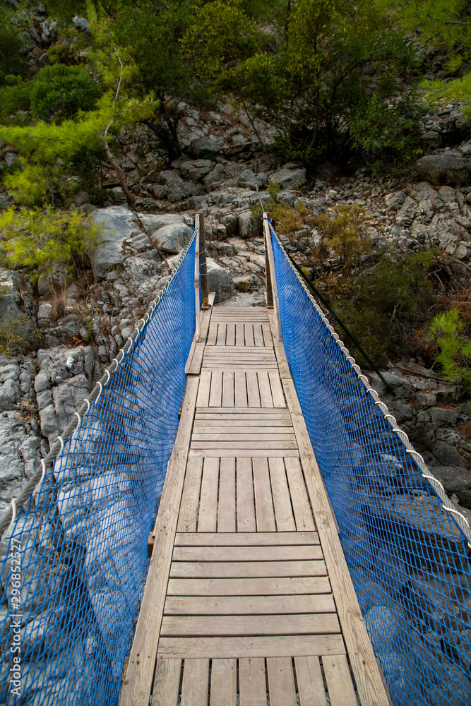 Obraz premium pedestrian bridge over the river in the mountains