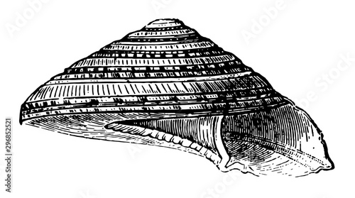 Solarium Perpectivum vintage illustration.
