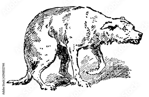 Injured Dog vintage illustration.