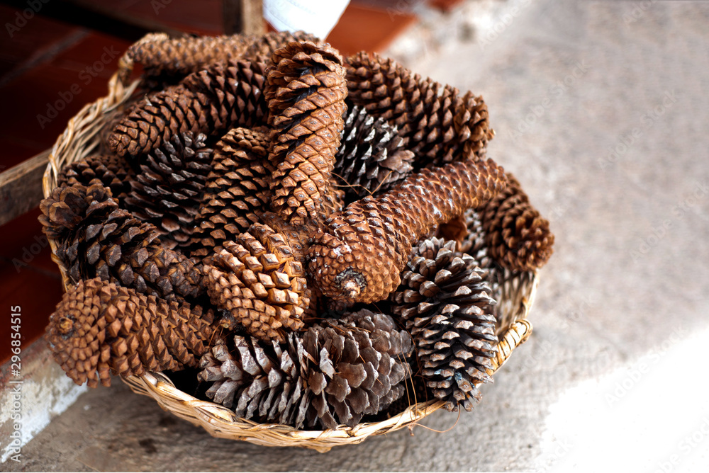 Obraz premium pine cones in a basket