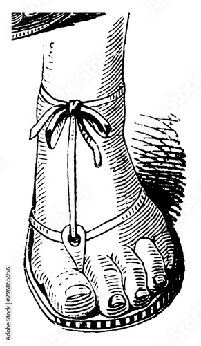 Ancient Egyptian Sandal vintage engraving.