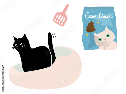 cat toilet