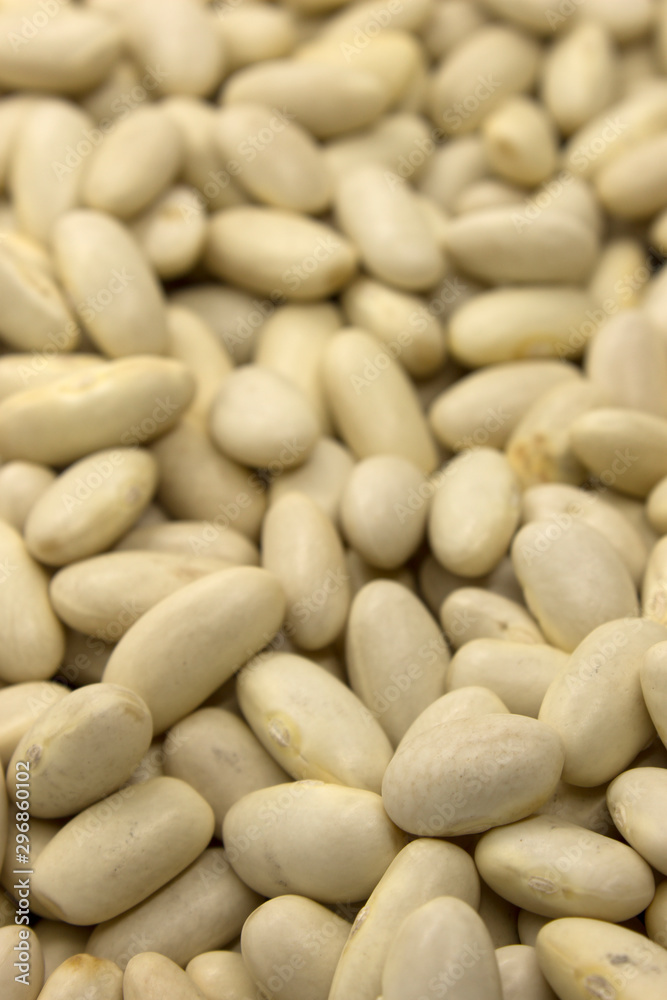 This is a photograph of White Kidney Beans This is a photograph of White Kidney Beans