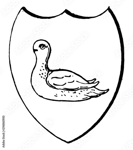 Martlet is similar in appearance to the swallow vintage engraving.