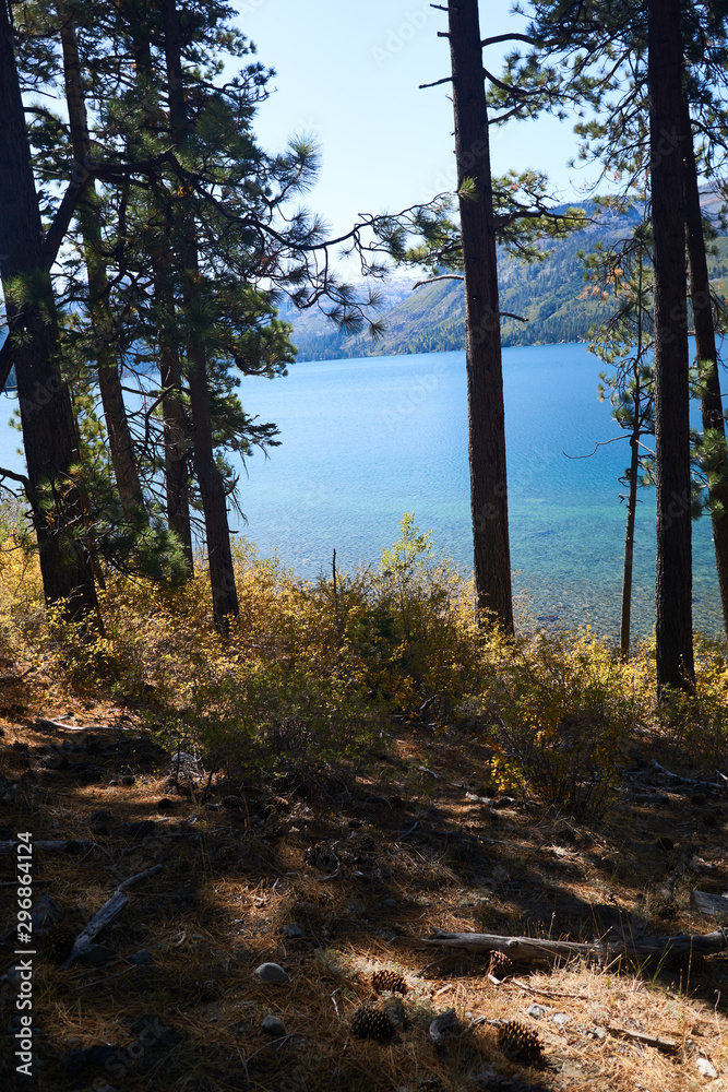 Fototapeta premium Fall yellows are appearing along side the mountain lakes in Lake Tahoe