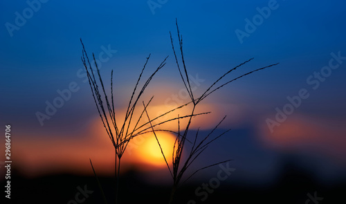 Colorful sky of sunset with grass
